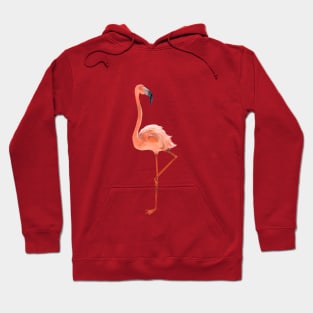 Cute Flamingo on the beautiful beach Hoodie